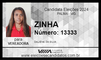 Candidato ZINHA 2024 - PALMA - Eleições