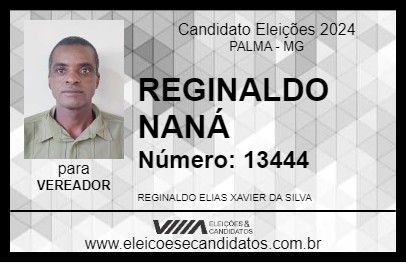 Candidato REGINALDO NANÁ 2024 - PALMA - Eleições