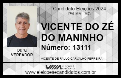 Candidato VICENTE DO ZÉ DO MANIN 2024 - PALMA - Eleições