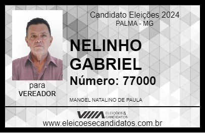 Candidato NELINHO GABRIEL 2024 - PALMA - Eleições