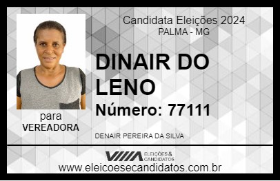 Candidato DINAIR DO LENO 2024 - PALMA - Eleições