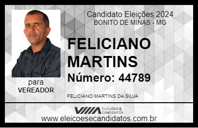 Candidato FELICIANO MARTINS 2024 - BONITO DE MINAS - Eleições