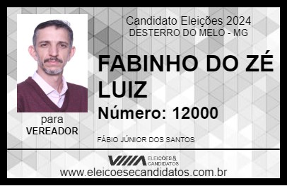 Candidato FABINHO DO ZÉ LUIZ 2024 - DESTERRO DO MELO - Eleições