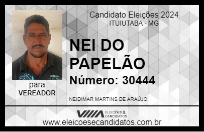 Candidato NEI DO PAPELÃO 2024 - ITUIUTABA - Eleições