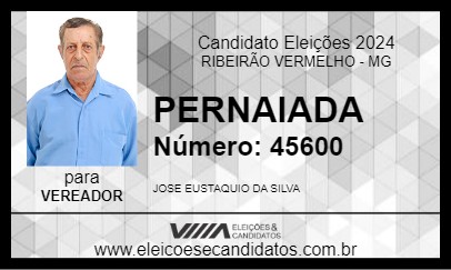 Candidato PERNAIADA 2024 - RIBEIRÃO VERMELHO - Eleições