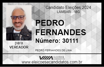 Candidato PEDRO FERNANDES 2024 - LAMBARI - Eleições