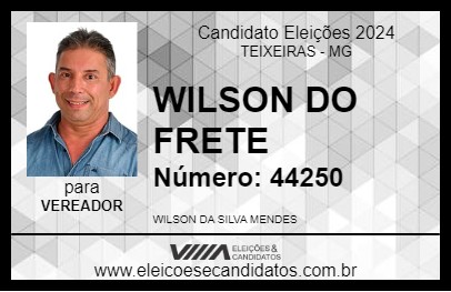 Candidato WILSON DO FRETE 2024 - TEIXEIRAS - Eleições