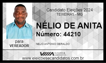 Candidato NÉLIO DE ANITA 2024 - TEIXEIRAS - Eleições