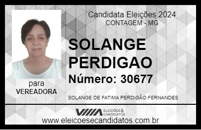 Candidato SOLANGE PERDIGAO 2024 - CONTAGEM - Eleições