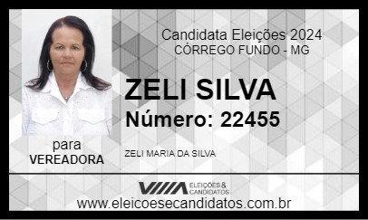 Candidato ZELI SILVA 2024 - CÓRREGO FUNDO - Eleições