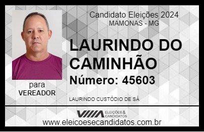 Candidato LAURINDO DO CAMINHÃO 2024 - MAMONAS - Eleições