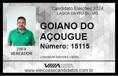 Candidato GOIANO DO AÇOUGUE 2024 - LAGOA DA PRATA - Eleições