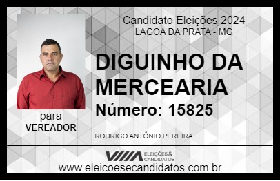 Candidato DIGUINHO DA MERCEARIA 2024 - LAGOA DA PRATA - Eleições