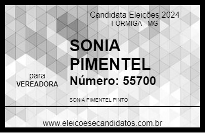 Candidato SONIA PIMENTEL 2024 - FORMIGA - Eleições