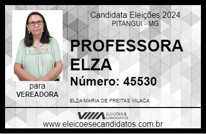 Candidato PROFESSORA ELZA 2024 - PITANGUI - Eleições