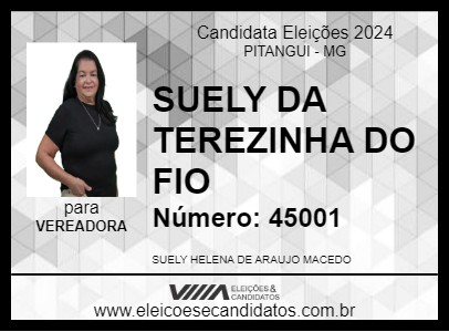 Candidato SUELY DA TEREZINHA DO FIO 2024 - PITANGUI - Eleições