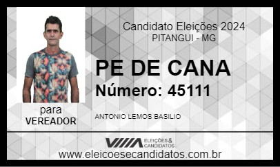 Candidato PE DE CANA 2024 - PITANGUI - Eleições