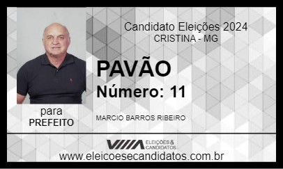 Candidato PAVÃO 2024 - CRISTINA - Eleições