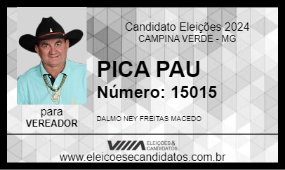 Candidato PICA PAU 2024 - CAMPINA VERDE - Eleições