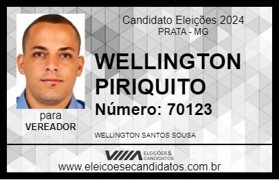 Candidato WELLINGTON PERIQUITO 2024 - PRATA - Eleições