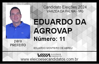 Candidato EDUARDO DA  AGROVAP 2024 - VÁRZEA DA PALMA - Eleições