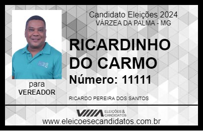 Candidato RICARDINHO DO CARMO 2024 - VÁRZEA DA PALMA - Eleições