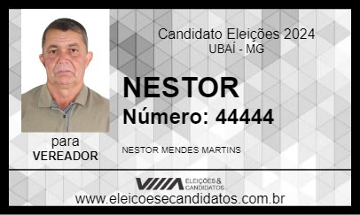 Candidato NESTOR 2024 - UBAÍ - Eleições