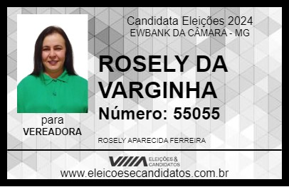 Candidato ROSELY DA VARGINHA 2024 - EWBANK DA CÂMARA - Eleições