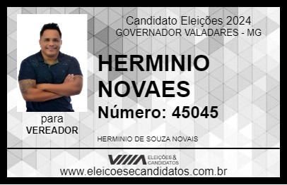 Candidato HERMINIO NOVAIS 2024 - GOVERNADOR VALADARES - Eleições