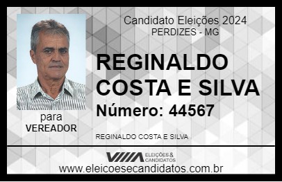 Candidato REGINALDO COSTA E SILVA 2024 - PERDIZES - Eleições