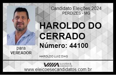 Candidato HAROLDO DO CERRADO 2024 - PERDIZES - Eleições