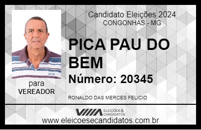 Candidato PICA PAU DO BEM 2024 - CONGONHAS - Eleições