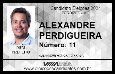 Candidato ALEXANDRE PERDIGUEIRA 2024 - PERDIZES - Eleições