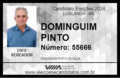 Candidato DOMINGUIM PINTO 2024 - LUISLÂNDIA - Eleições