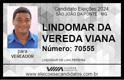 Candidato LINDOMAR DA VEREDA VIANA 2024 - SÃO JOÃO DA PONTE - Eleições