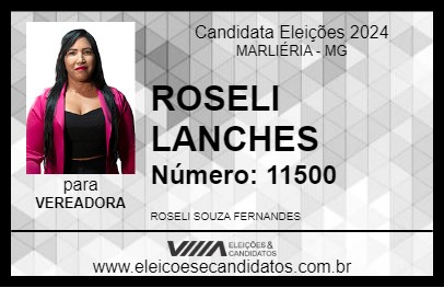 Candidato ROSELI LANCHES 2024 - MARLIÉRIA - Eleições