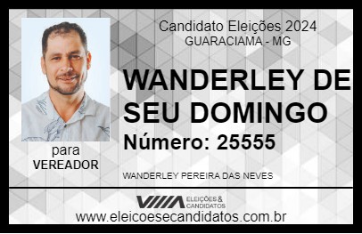 Candidato WANDERLEY DE SEU DOMINGO 2024 - GUARACIAMA - Eleições