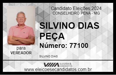 Candidato SILVINO DIAS PEÇA 2024 - CONSELHEIRO PENA - Eleições