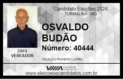 Candidato OSVALDO BUDÃO 2024 - TURMALINA - Eleições