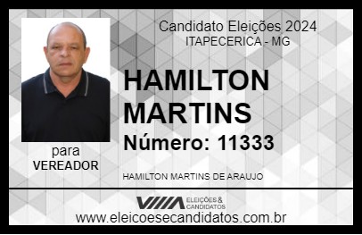 Candidato HAMILTON DE LAMOUNIER 2024 - ITAPECERICA - Eleições