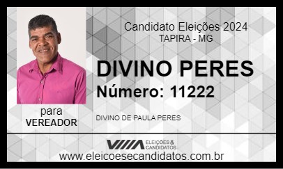 Candidato DIVINO PERES 2024 - TAPIRA - Eleições