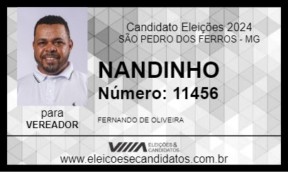 Candidato NANDINHO 2024 - SÃO PEDRO DOS FERROS - Eleições