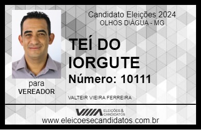 Candidato TEÍ DO IORGUTE 2024 - OLHOS D\ÁGUA - Eleições