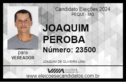 Candidato JOAQUIM PEROBA 2024 - PEQUI - Eleições