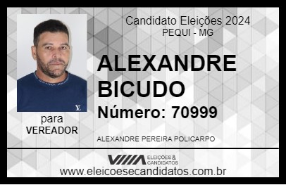 Candidato ALEXANDRE BICUDO 2024 - PEQUI - Eleições