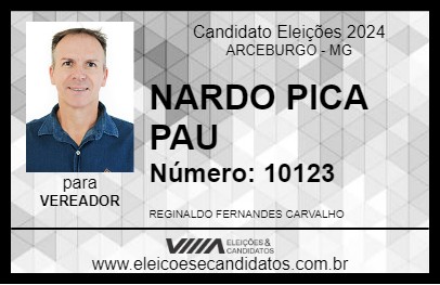 Candidato NARDO PICA PAU 2024 - ARCEBURGO - Eleições