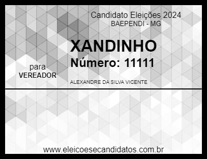 Candidato XANDINHO 2024 - BAEPENDI - Eleições