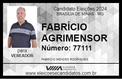 Candidato FABRÍCIO AGRIMENSOR 2024 - BRASÍLIA DE MINAS - Eleições