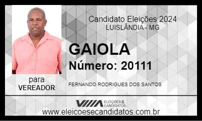 Candidato GAIOLA 2024 - LUISLÂNDIA - Eleições