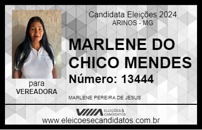 Candidato MARLENE DO CHICO MENDES 2024 - ARINOS - Eleições